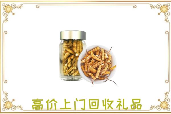 广州周边回收虫草
